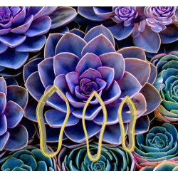 Succulent Çiçek Yapım Seti 3'lü